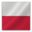 Poland flag Icon